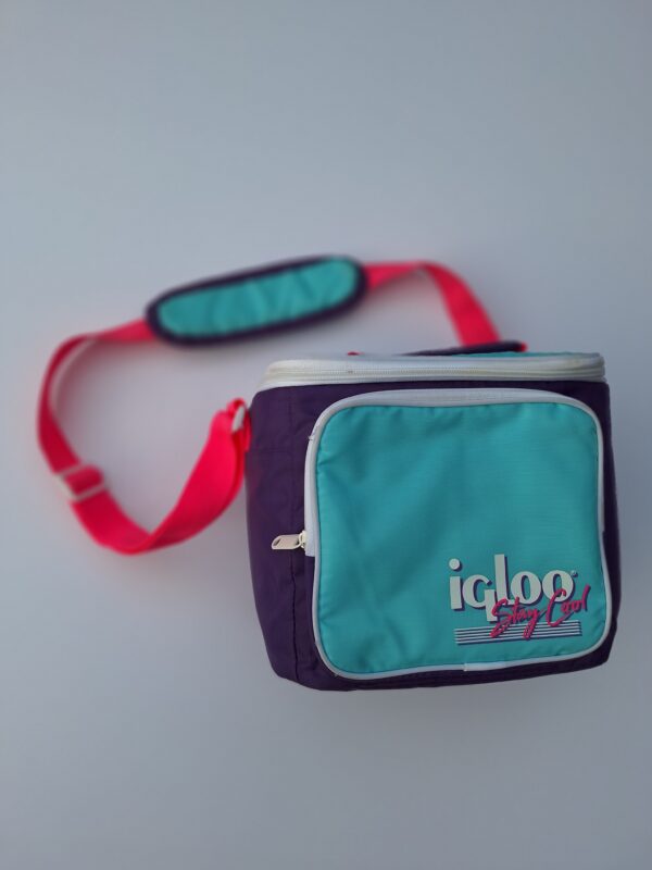 Reclaimed Igloo Cooler / Lunch Bag / Free Shipping - Image 2