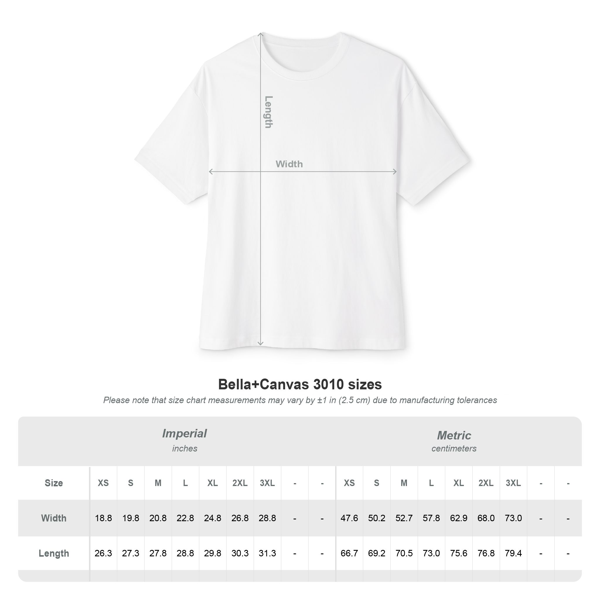 JRM Limited Tacoma Graffiti Oversized Boxy Tee - Image 6